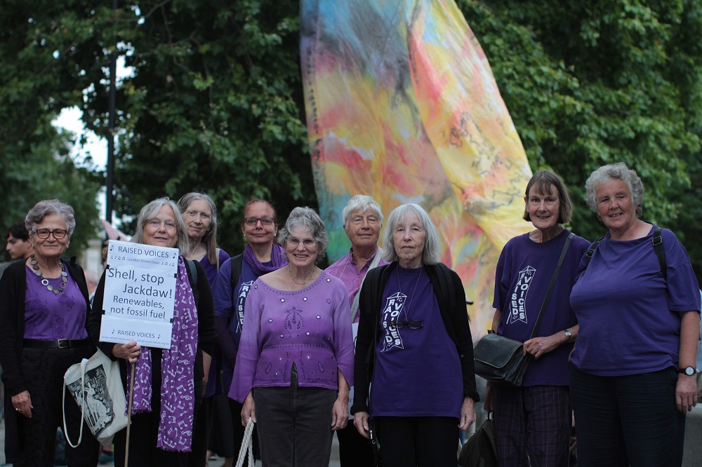 Raised Voices at Stop Jackdaw protest